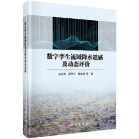 数字孪生流域降水遥感及动态评价