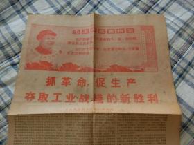 1969年2月21日    河南日报    抓革命、促生产    在春节期间大张旗鼓地向人民群众传播毛泽东思想