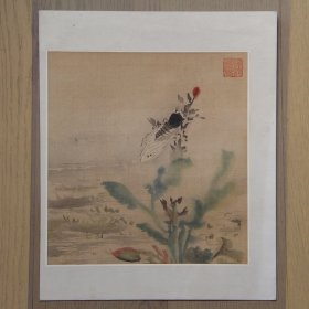 朵云轩木版水印明孙龙花鸟草虫册册页零页一张知了绢本1959年