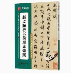 赵孟頫行书前后赤壁赋 原碑高清放大例字讲解毛笔字练习 传世碑帖高清原色放大对照本 赵体行书毛笔字帖初学者入门字帖 华夏万卷