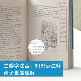 水浒传 生僻字注音+注释+注解 插图青少版 小升初、中考配套阅读 9-15岁孩子更易读懂 名家推荐