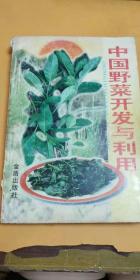 中国野菜开发与利用