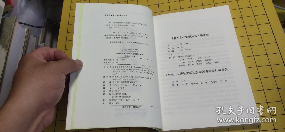 西岐王氏济世堂医论医案医方集要