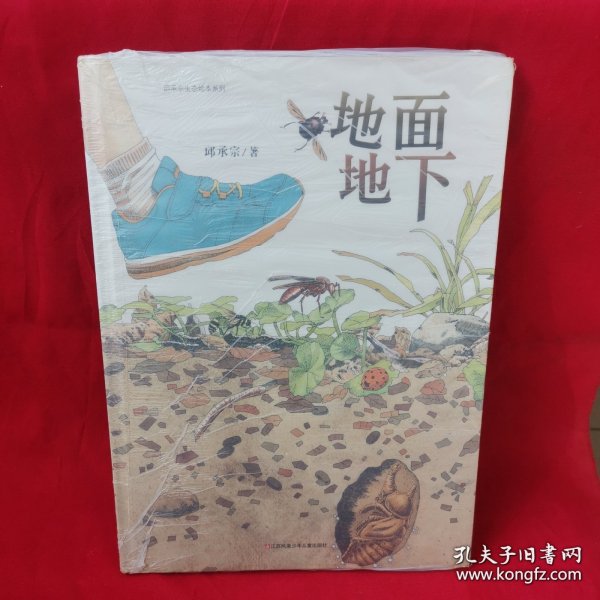 中国原创丰子恺优秀童书奖生态绘本：地面地下（孩子手边靠谱的虫虫图记）