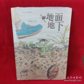 中国原创丰子恺优秀童书奖生态绘本：地面地下（孩子手边靠谱的虫虫图记）