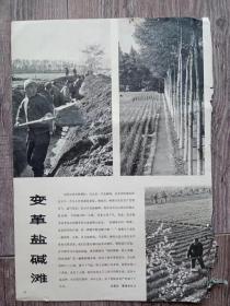 解放军画报  变革盐碱摊，苦练本领准备打仗，学习罗光燮，于凤先，韶山，，张思德，等 （画页）