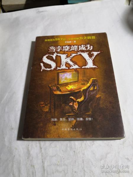 当李晓峰成为SKY