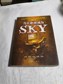 当李晓峰成为SKY