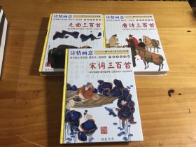 诗情画意当代名画家: 宋词三百首 、元曲三百首、唐诗三百首（3本合售）彩图版 精装