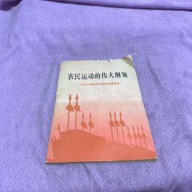 农民运动的伟大纲领