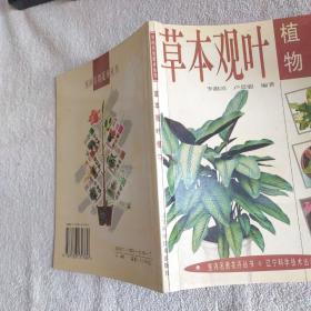 室內(nèi)名貴花卉叢書--草本觀葉植物