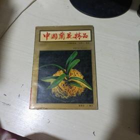 中国兰花精品:投资与栽培