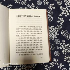 诗词中国普及读物：诗词写作常识（定价22）