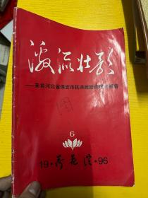 荷花院96.19-来自河北省保定市抗洪抢险前线的报告