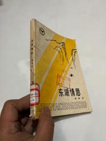东湖情思&当代文学