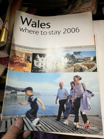 wales where to stay 2006