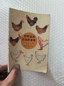 罗斯蛋鸡的饲养管理