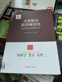 中国新型城镇化理论与实践丛书：文化驱动新型城镇化（北京定福庄发展模式研究）