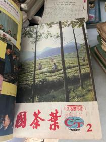 中国茶叶 1988&农业&茶叶&1-6期&合订本