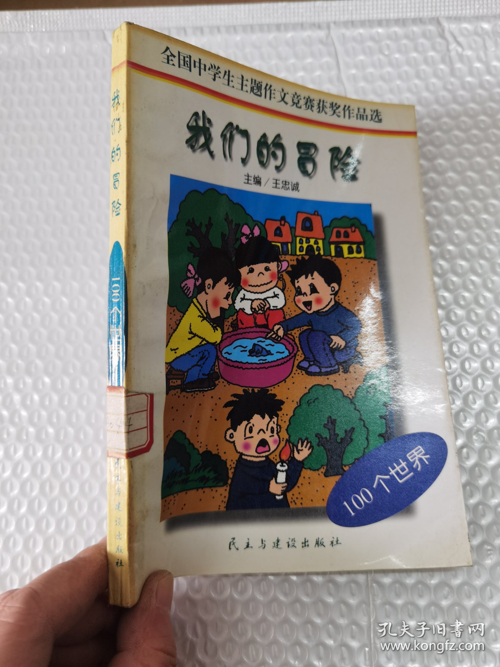 全国中学生主题作文竞赛获奖作品选 我们的冒险