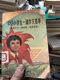 中国小学生一流作文荟萃 （看图作文·读后感·观后感类）