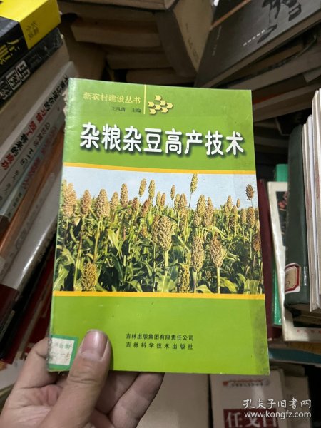 杂粮杂豆高产技术