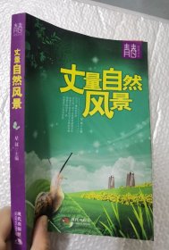 丈量自然风景--青春阅读丛书
