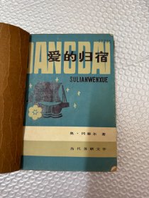 爱的归宿