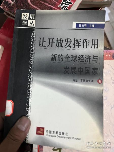 让开放发挥作用：新的全球经济与发展中国家