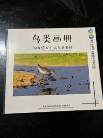 鸟类画册&湖北环荆州古城国家湿地公园&摄影集&画册&荆州文史