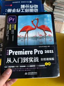 中文版Premiere Pro 2021从入门到实战 （全程视频版）