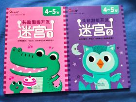 邦臣小红花·头脑潜能开发4-5岁：迷宫（共2册）