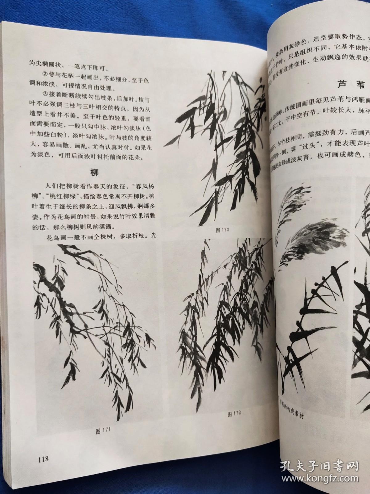 新编中国写意花鸟画技法