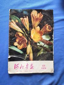 河北画报1979年试刊号