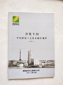 净化车间 甲烷转化工艺技术操作规程（试行）