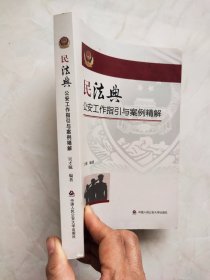 民法典公安工作指引与案例精解