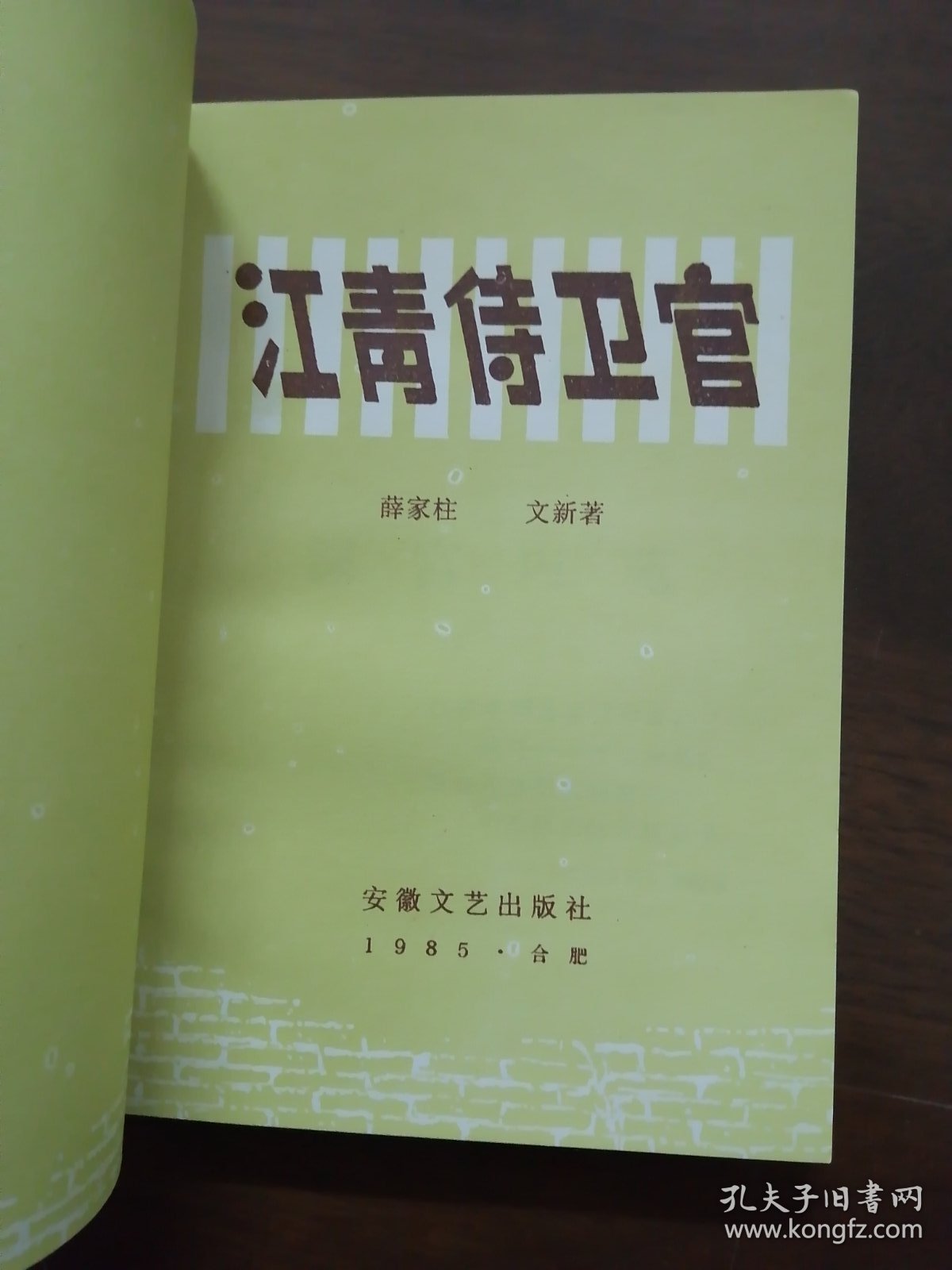 插图本 《 江青侍卫官》--（库存未阅  板挺角尖  内页干净 无划线无笔记）