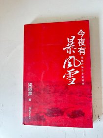 今夜有暴风雪