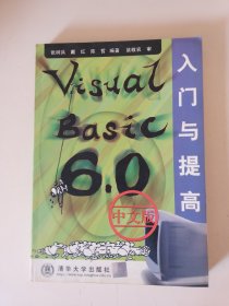 Visual Basic 6.0中文版入门与提高