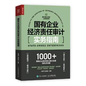 国有企业经济责任审计实务指南