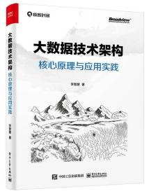 大数据技术架构：核心原理与应用实践(博文视点出品)