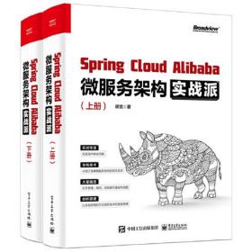 Spring Cloud Alibaba微服务架构实战派.上下册