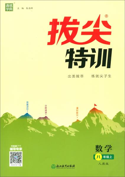 数学（八年级上人教版）/通城学典·拔尖特训