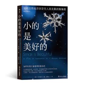 小的是美好的 如何运用经济学定位人类发展的新维度