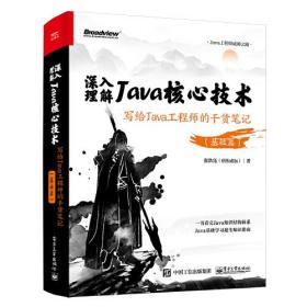 正版书 深入理解Java*技术：写给Java工程师的干货笔记（基础篇）