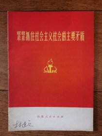 紧紧抓住社会主义社会的主要矛盾