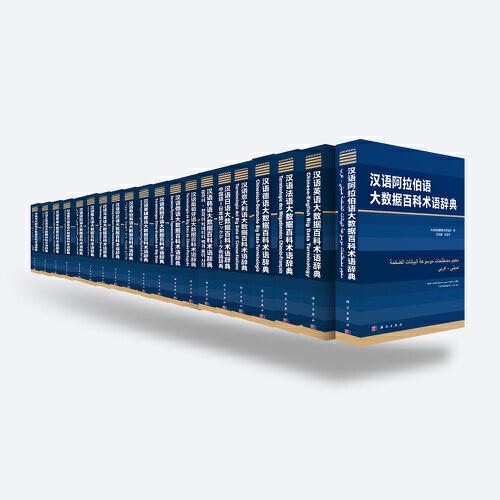 大数据百科术语辞典汉外对照系列丛书 全20册