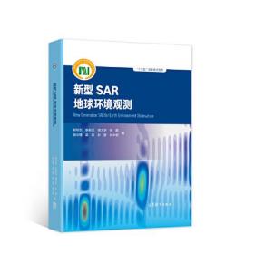 新型SAR地球环境观测