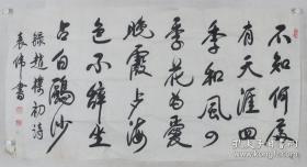 著名将军书法家袁伟少将书法一幅（保真）