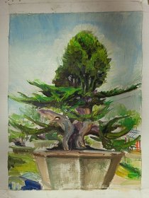 原西安美院教授骞纪林老师写生油画作品一幅（003保真）